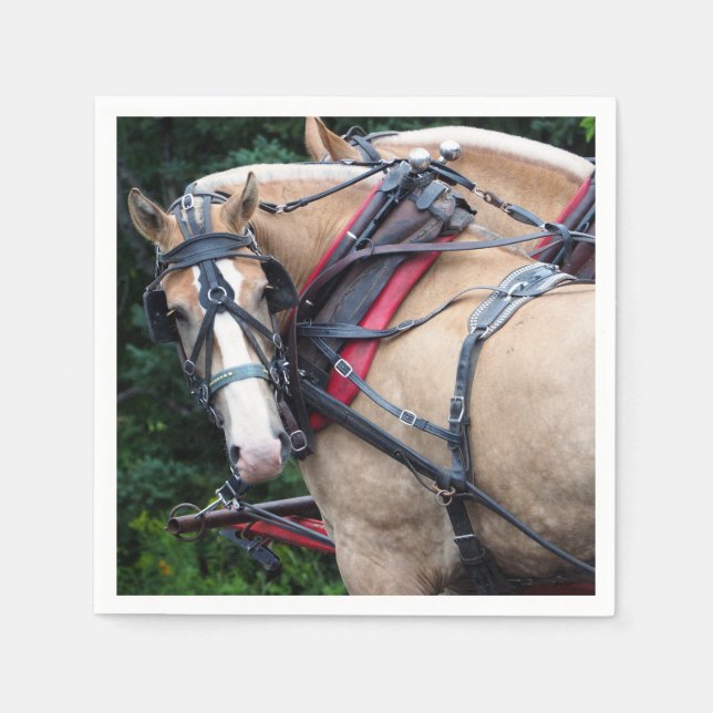 Serviette En Papier Harnais Palomino (Devant)