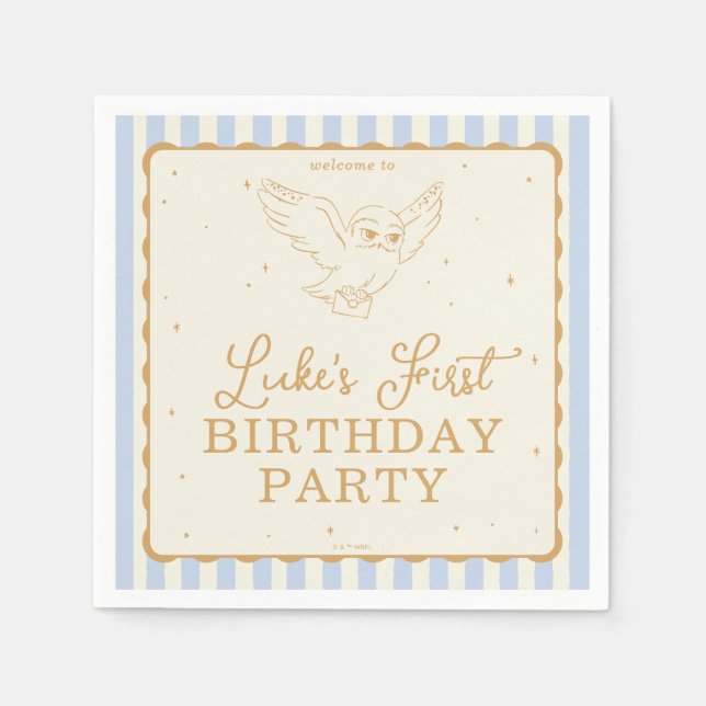 Serviette En Papier Harry Potter Hedwig Bleu Anniversaire Magique (Devant)