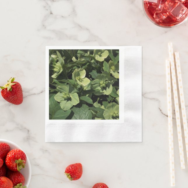 Serviette En Papier Hellebore vert (En situation)