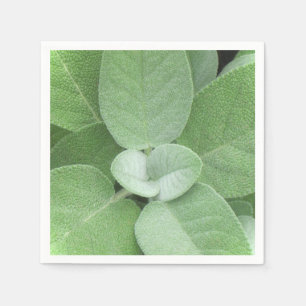 Serviette En Papier Herbal Napkin