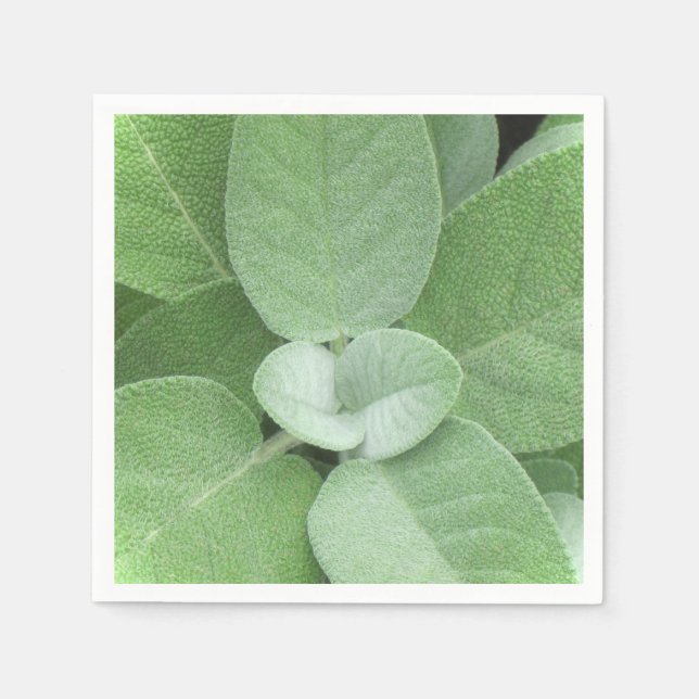 Serviette En Papier Herbal Napkin (Devant)