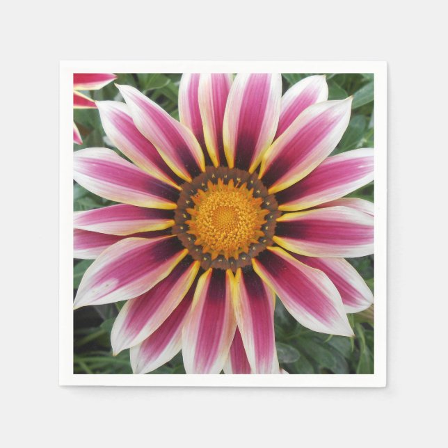 Serviette En Papier Hereford (Devant)