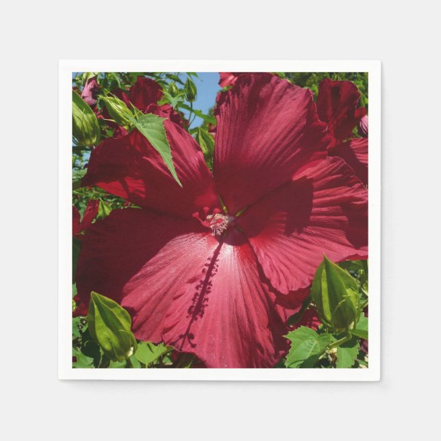Serviette En Papier Hibiscus Flower and Blue Sky (Devant)