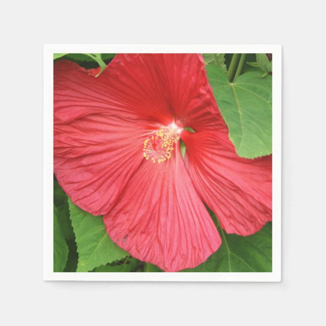 Serviette En Papier Hibiscus Flower Bright Magenta (Devant)