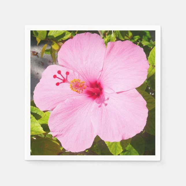 Serviette En Papier Hibiscus rose Fleur tropicale (Devant)