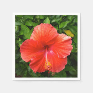 Serviette En Papier Hibiscus rouge tropical Bonita Springs Floride