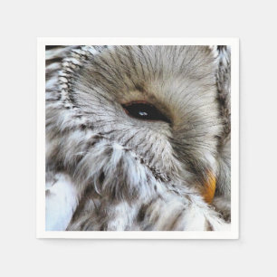 SERVIETTE EN PAPIER HIBOU