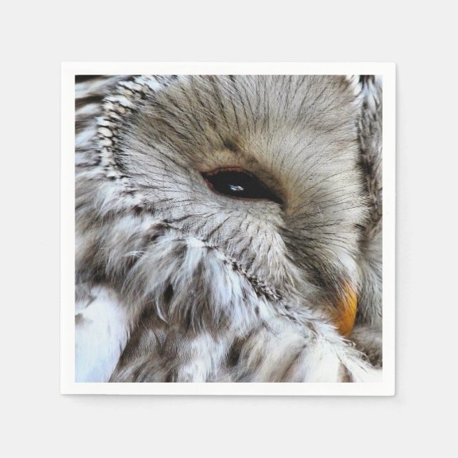 SERVIETTE EN PAPIER HIBOU (Devant)