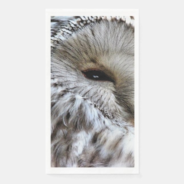 Serviette En Papier Hibou (Devant)