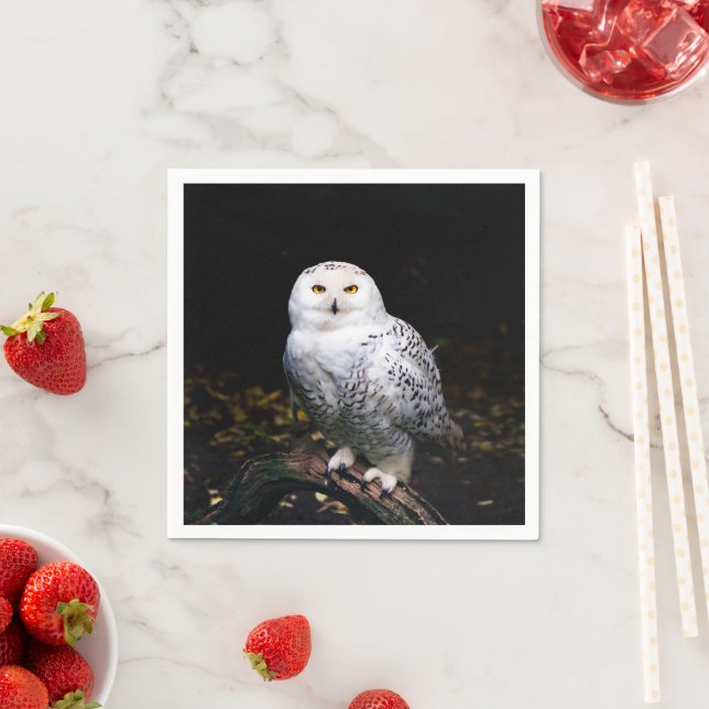 Serviette En Papier Hibou des neiges majestueux d'hiver (En situation)
