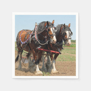 Serviette En Papier Horse Clydesdale Agriculture Photo