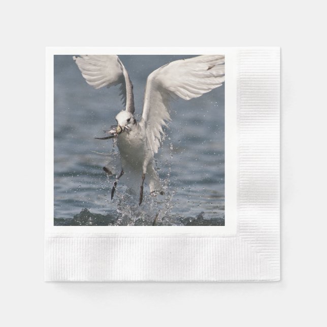Serviette En Papier Hovering Kittiwake (Devant)