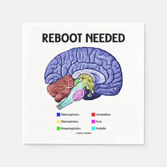 Serviette En Papier Humour De Geek D Anatomie De Cerveau Necessaire Zazzle Fr