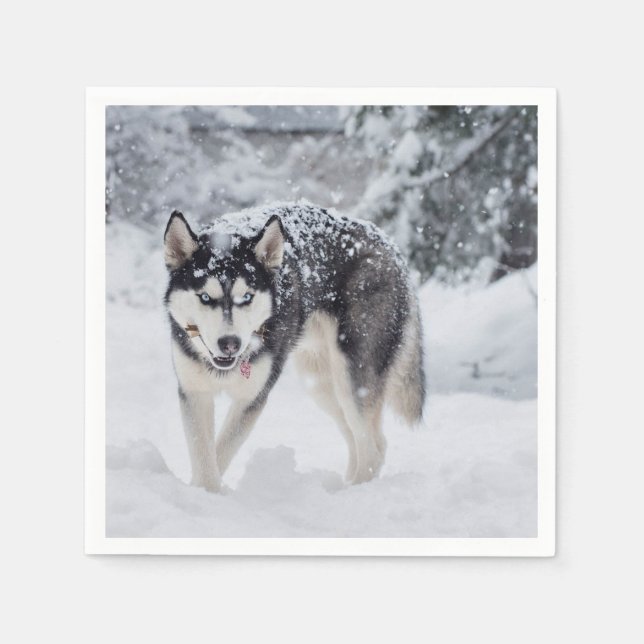 Serviette En Papier Husky dans la neige (Devant)