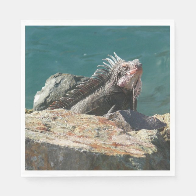 Serviette En Papier Iguane à St-Thomas (Devant)