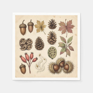 Serviette En Papier Illustration botanique vintage d'automne : glands,