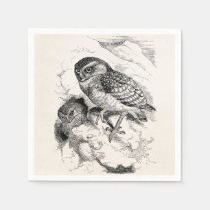 Serviette En Papier Illustration creusante vintage d'oiseau de poussin