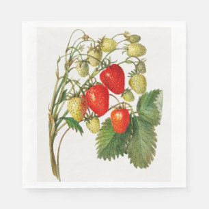 Serviette En Papier Illustration de branche de fraise rouge vintage