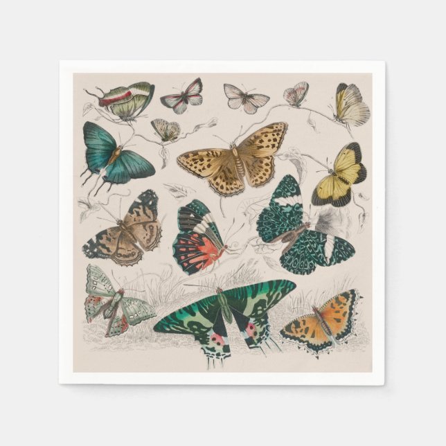 Serviette En Papier Illustration de papillon antique : 1820 Orfèvre (Devant)