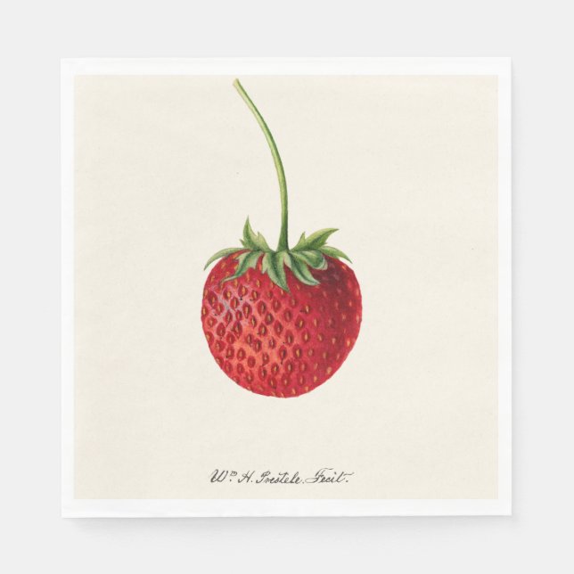 Serviette En Papier Illustration vintage d'une fraise rouge (Devant)