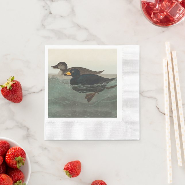 Serviette En Papier Impression de Macreuse noire d'Audubon : Canard cô (En situation)