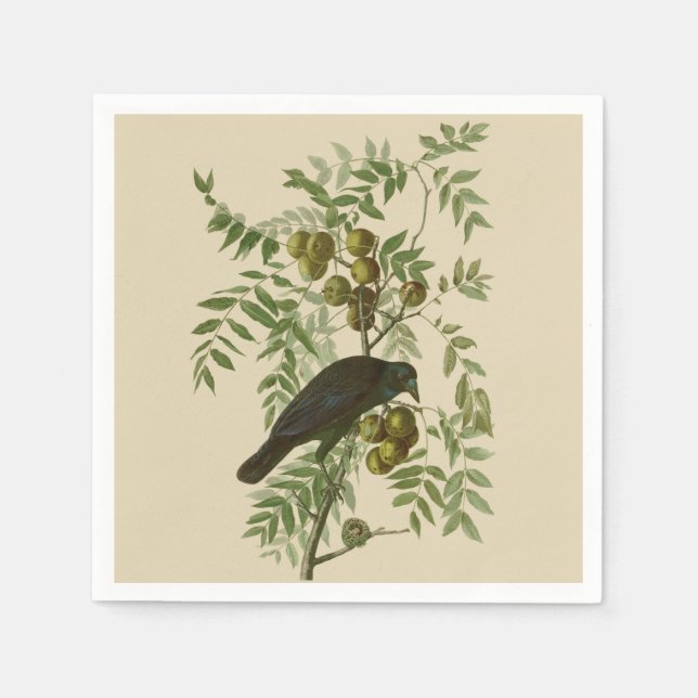 Serviette En Papier Impression d'oiseau Grackle Violet d'Audubon Botan (Devant)