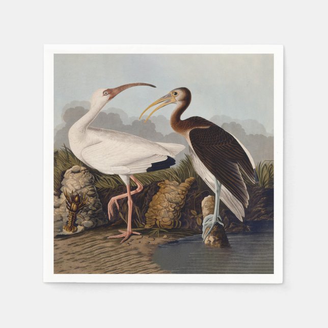 Serviette En Papier Impression d'oiseau Ibis blanc de John James Audub (Devant)