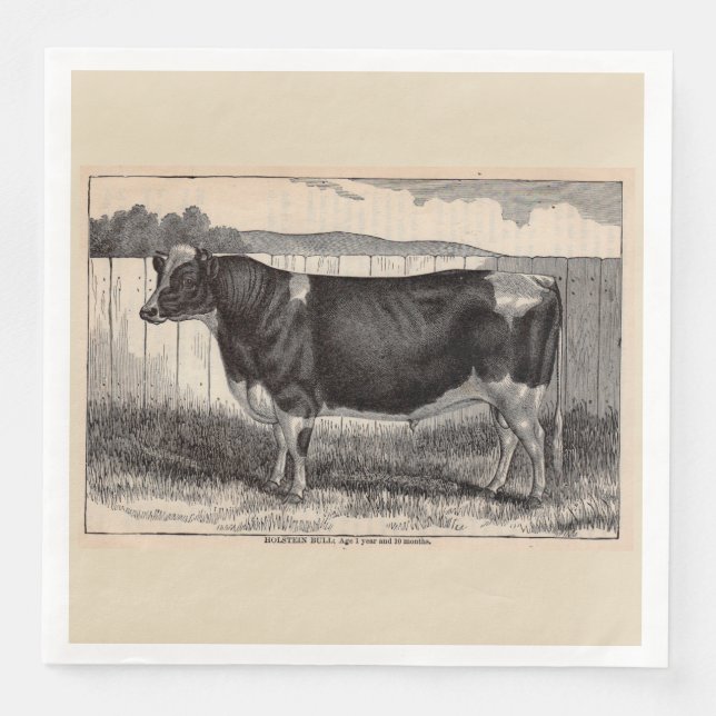 Serviette En Papier Impression du taureau Holstein du 19e siècle (Devant)