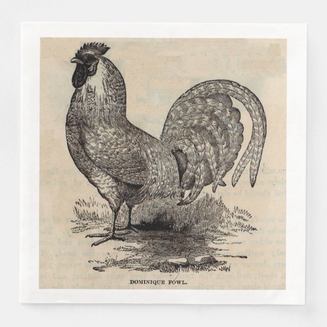 Serviette En Papier imprimé du 19e siècle dominique fowl (Devant)