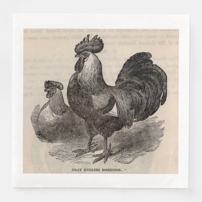 Serviette En Papier imprimé du 19e siècle gris anglais dorkings poulet (Devant)
