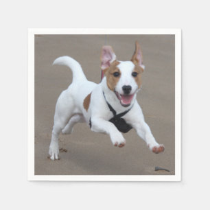 Serviette En Papier Jack_Russell terrier exécution 2.png
