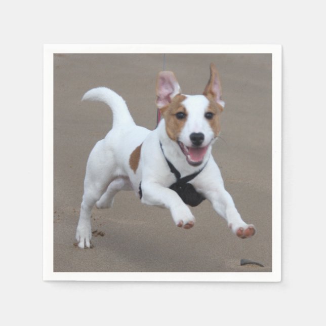 Serviette En Papier Jack_Russell terrier exécution 2.png (Devant)
