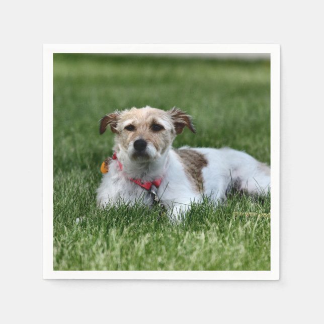 Serviette En Papier Jack Square Paper Coaster (Devant)