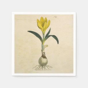 Serviette En Papier Jardin botanique de tulipe Amaryllis Fleur