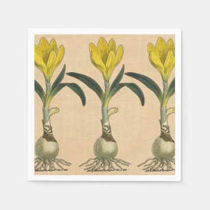 Serviette En Papier Jardin botanique de tulipe Amaryllis Fleur