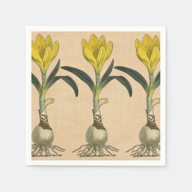 Serviette En Papier Jardin botanique de tulipe Amaryllis Fleur (Devant)