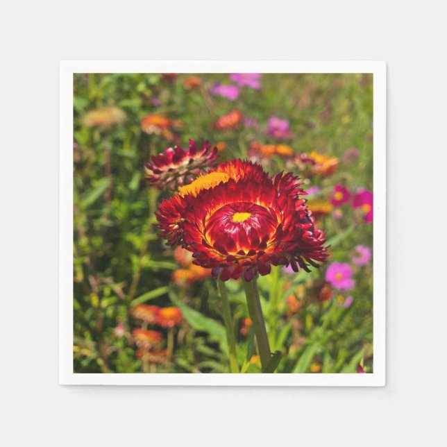 Serviette En Papier Jardin de fleurs (Devant)