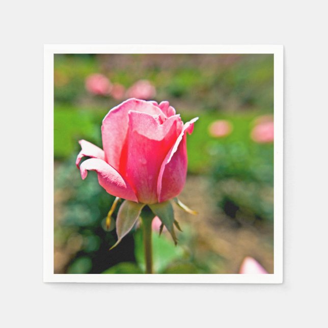 Serviette En Papier Jardin de roses roses (Devant)