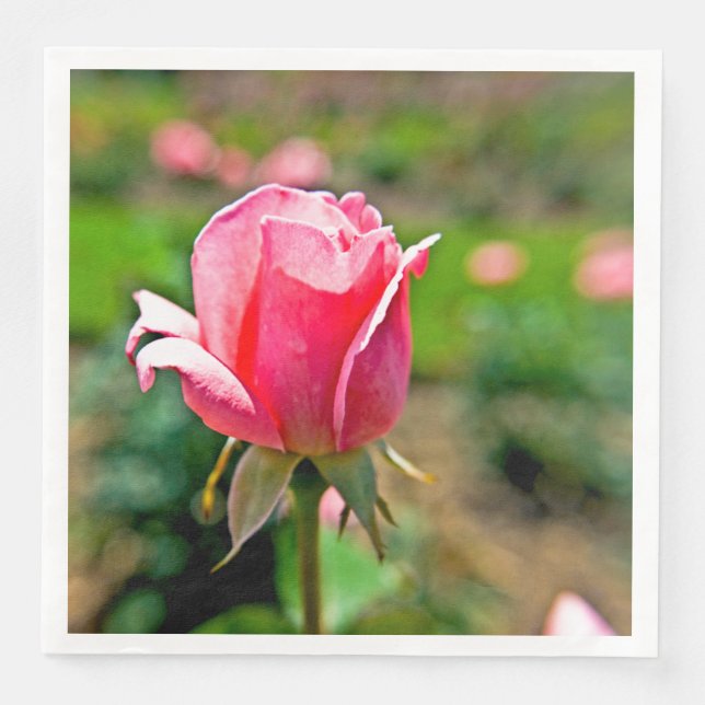Serviette En Papier Jardin de roses roses (Devant)