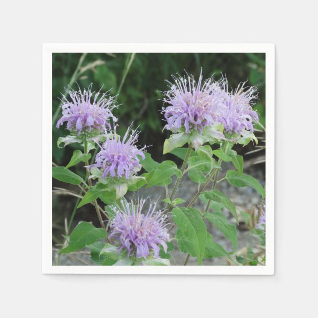 Serviette En Papier Jardin des fleurs 3 (Devant)