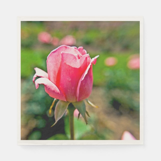 Serviette En Papier Jardin rose rose (Devant)