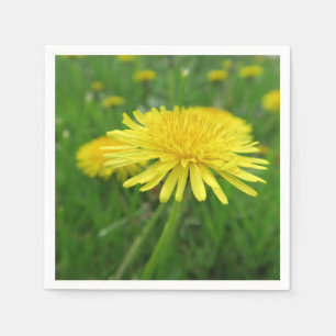 Serviette En Papier jaune, bouton d'or, plante, pissenlit, prairie,