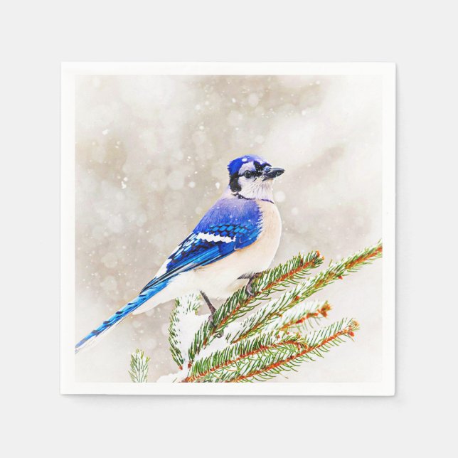 Serviette En Papier Jay bleu dans un pin avec neige (Devant)