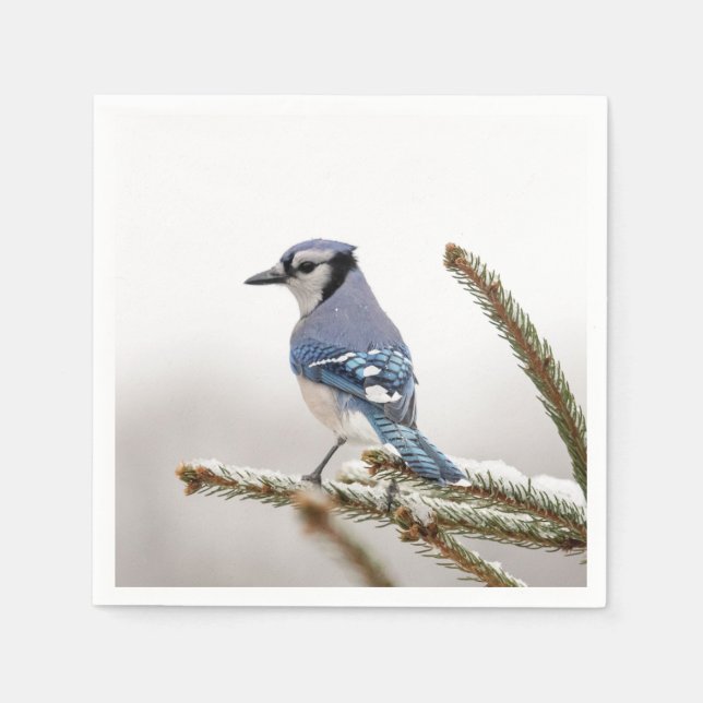 Serviette En Papier Jay bleu en hiver (Devant)