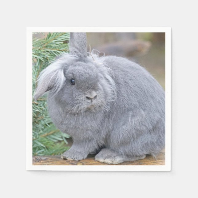 Serviette En Papier Joli lapin gris (Devant)