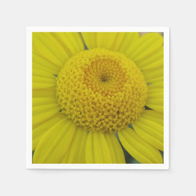 Serviette En Papier Jolie marguérite jaune (Devant)