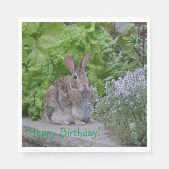 Serviette En Papier Joyeux anniversaire Mama Bunny (Devant)