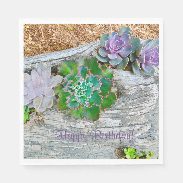 Serviette En Papier Joyeux Succulents D'Anniversaire Sur Le Bois Dériv (Devant)