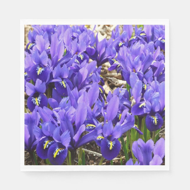 Serviette En Papier Katherine Hodgkin Irises Printemps Violet Floral (Devant)