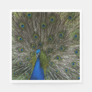 Serviette En Papier Kauai Peacock